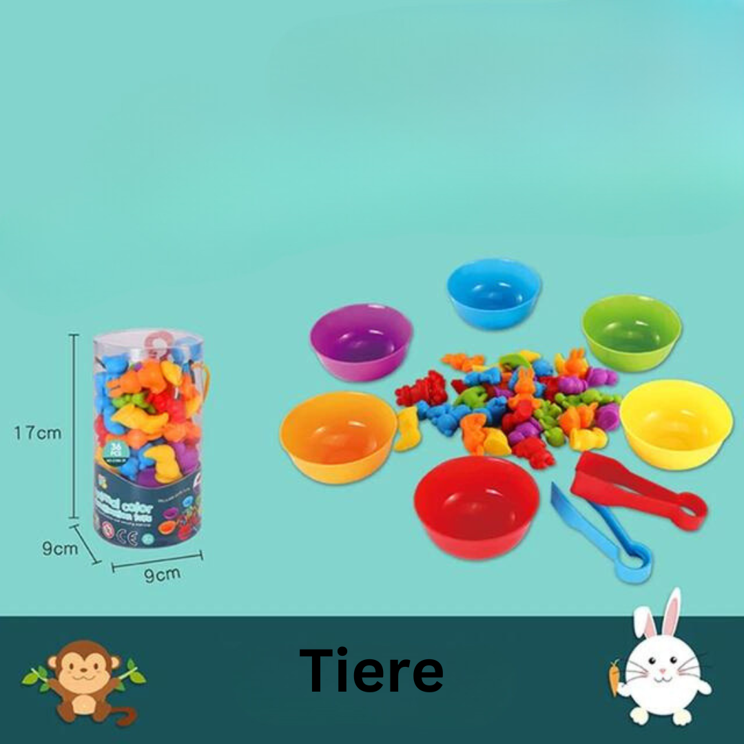 Ensemble de jeu de tri éducatif pour enfants
