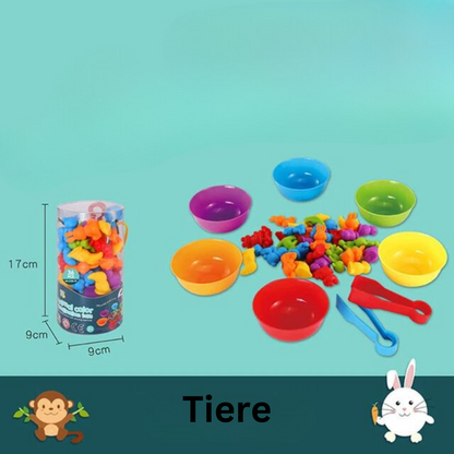 Ensemble de jeu de tri éducatif pour enfants