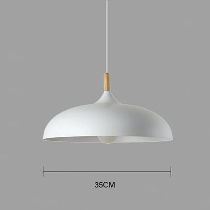 Simple Modern Pendant Lighting Fixture