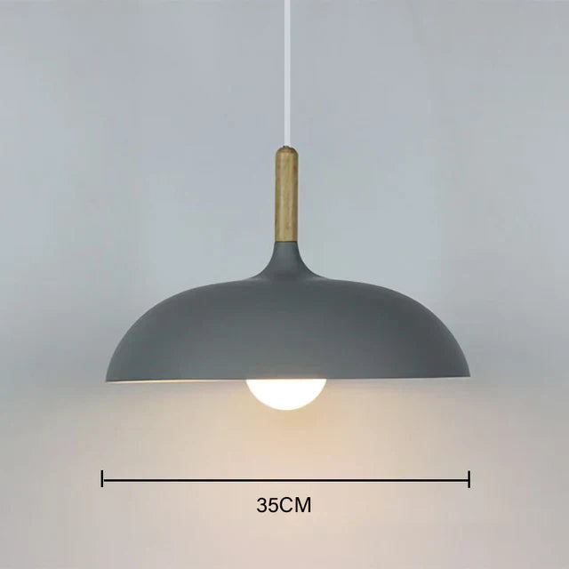 Simple Modern Pendant Lighting Fixture