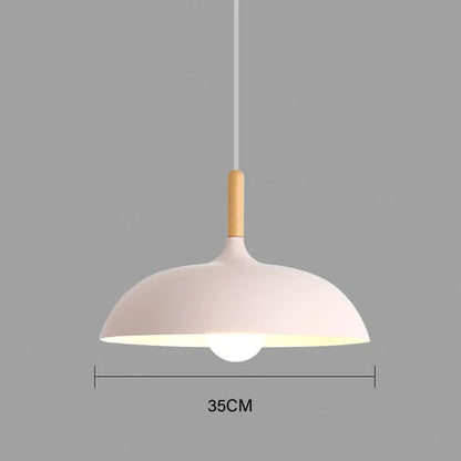 Simple Modern Pendant Lighting Fixture