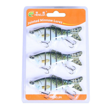 Leurres de pêche réalistes en 6 parties