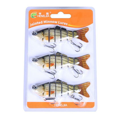 Leurres de pêche réalistes en 6 parties