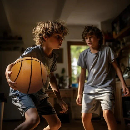 Quiet Indoor Training Basketball - Halri