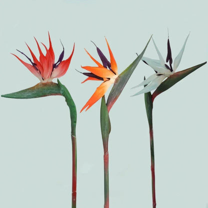 Ensemble décoratif de 3 fleurs artificielles d'oiseau de paradis