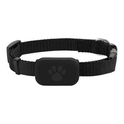 Traceur GPS précis pour animaux de compagnie avec collier ajustable