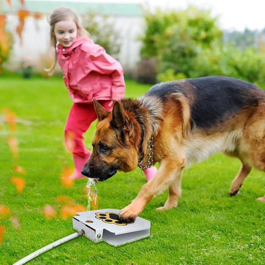 Automatic Paw Activated Pet Water Fountain Sprayer - Halri