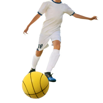 Silent Indoor Basketball with High Bounce - Halri