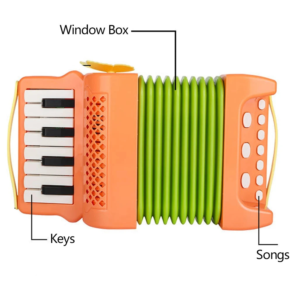 Simple Accordion Designed for Small Hands