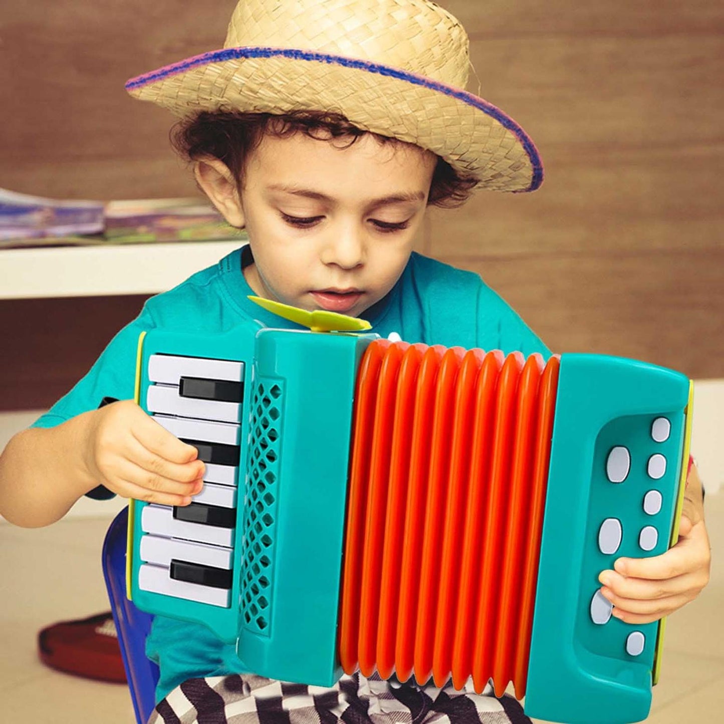 Simple Accordion Designed for Small Hands