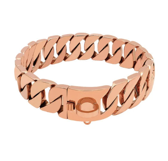 Collier pour chien en métal résistant - Collier pour animaux de compagnie en acier robuste