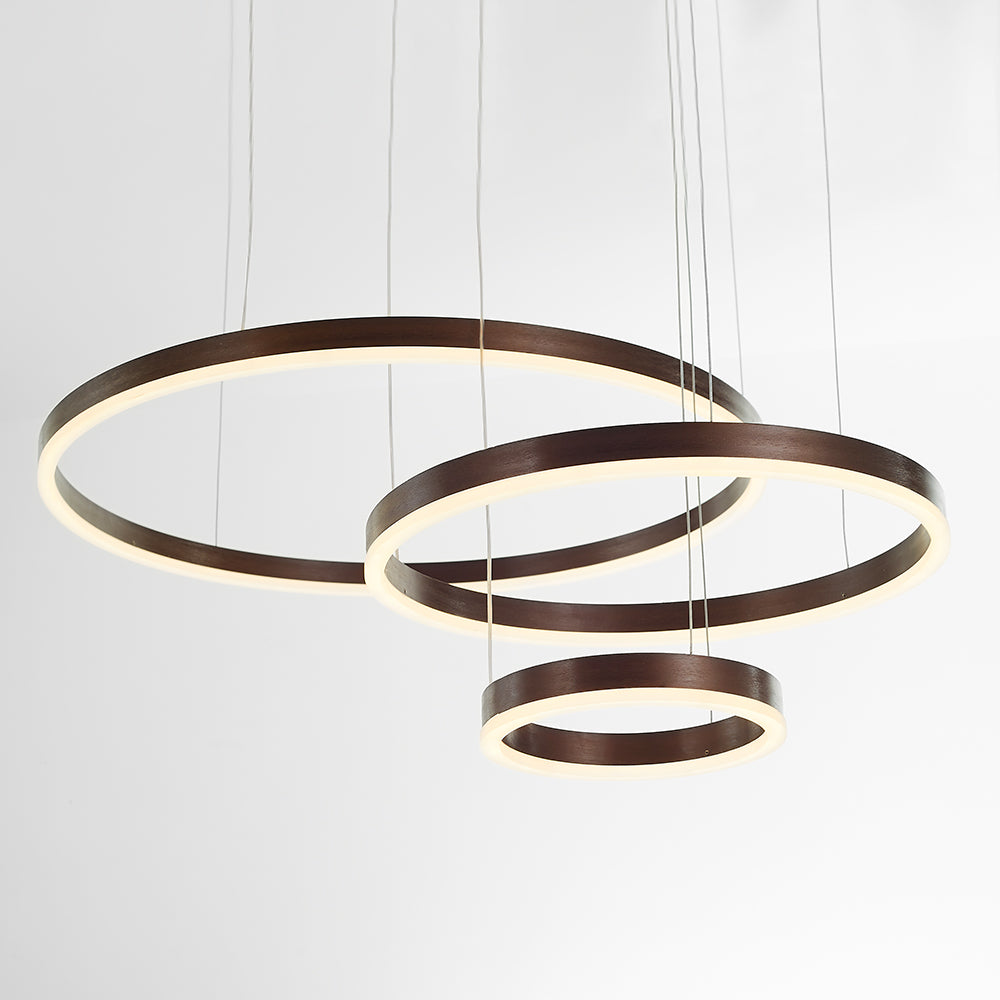Stylish Metal Pendant Light Circle Design