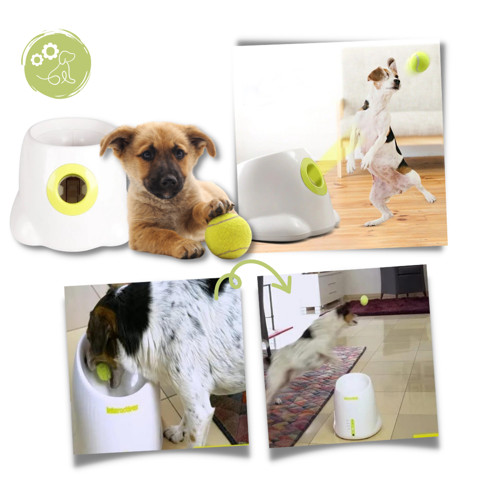 Fun Dog Ball Launcher Toy - Automatic Pet Thrower