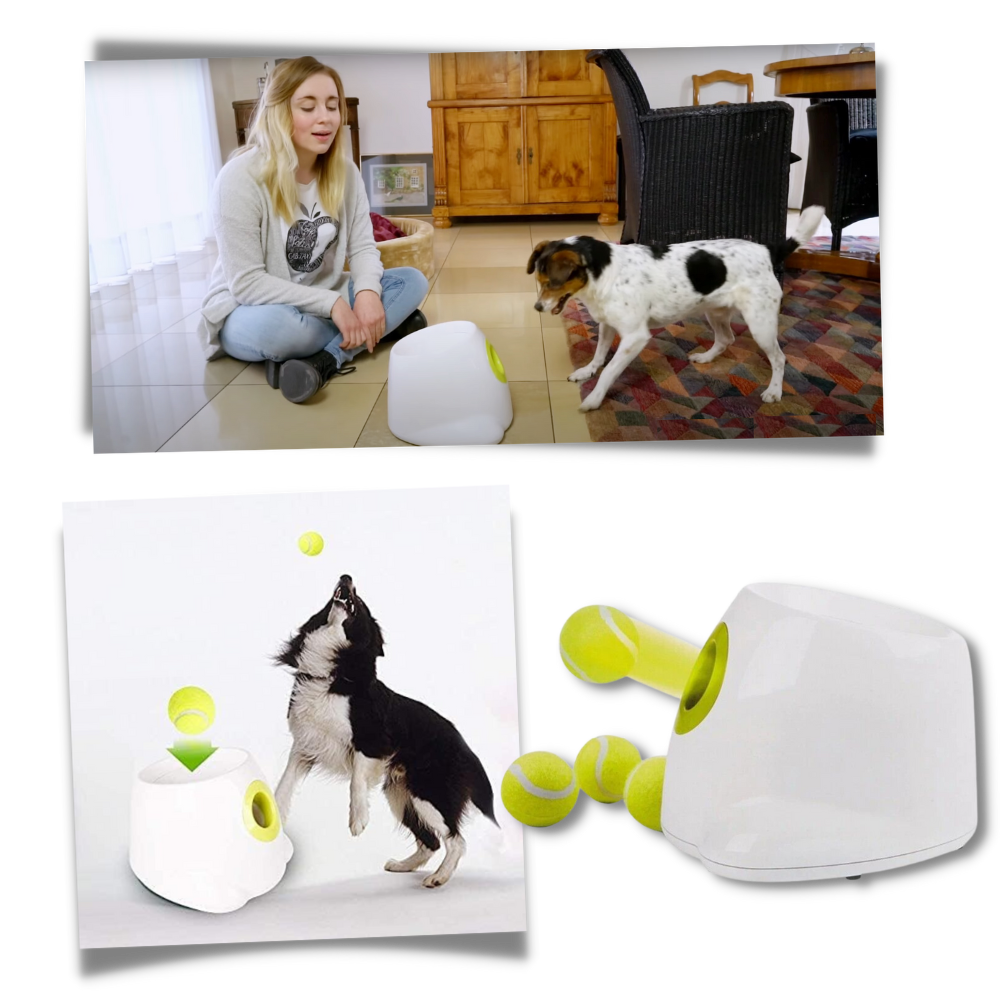 Fun Dog Ball Launcher Toy - Automatic Pet Thrower