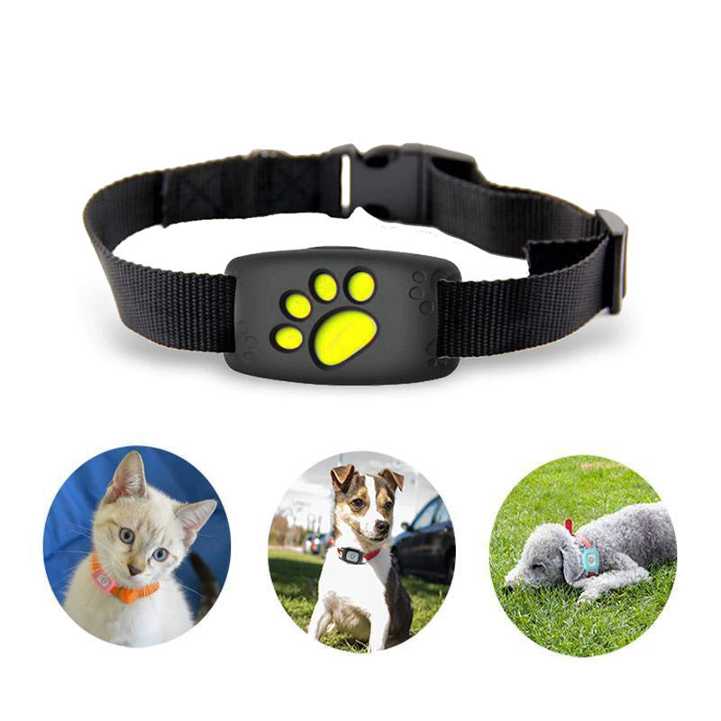 Advanced Pet Location Tracker Collar