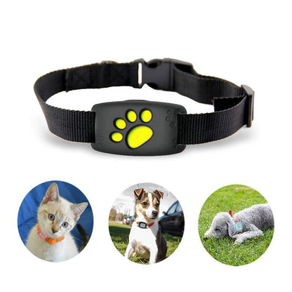 Advanced Pet Location Tracker Collar