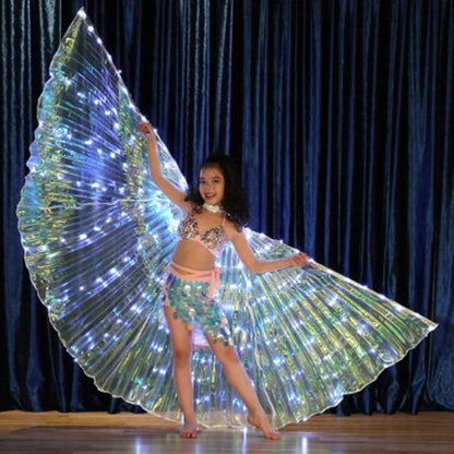 Colorful LED Dance Wings Costume