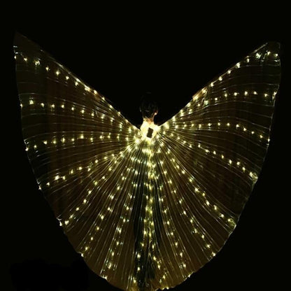 Colorful LED Dance Wings Costume