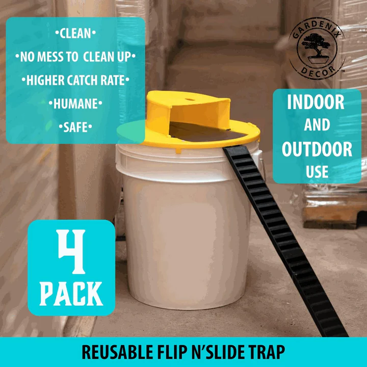 4-Pack Humane Mouse Trap Kit - Reusable Rodent Catcher
