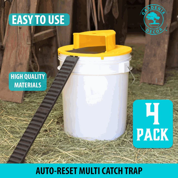 4-Pack Humane Mouse Trap Kit - Reusable Rodent Catcher