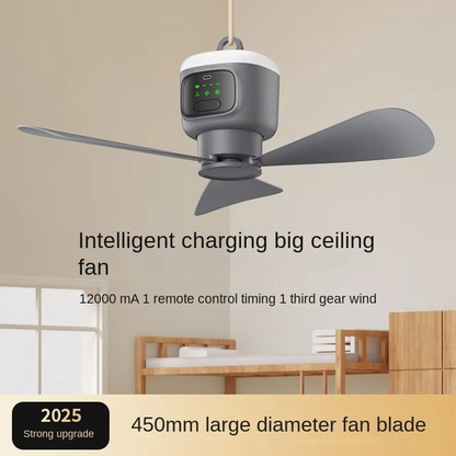 Compact Rechargeable Ceiling Fan