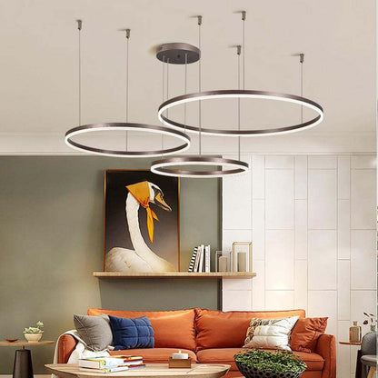 Stylish Metal Pendant Light Circle Design