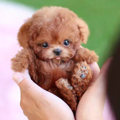 Interactive Robot Pet Dog Companion Toy - Halri
