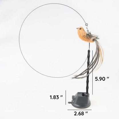 Interactive Feather Toy Kit for Cats