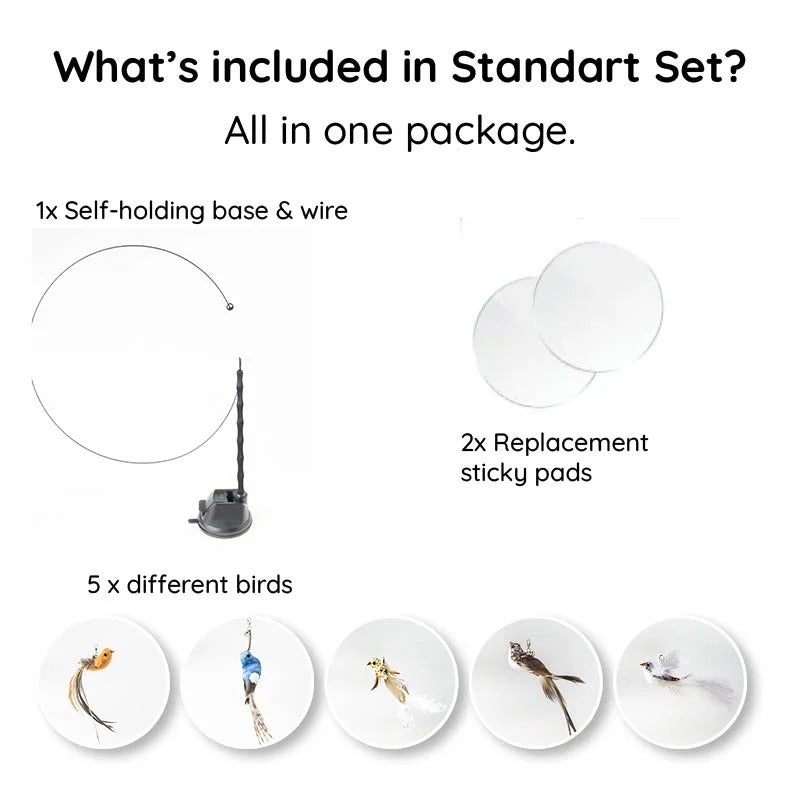 Interactive Feather Toy Kit for Cats