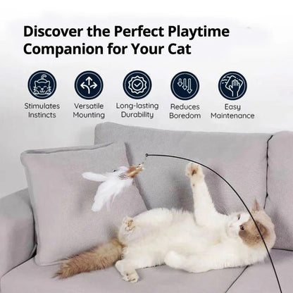 Interactive Feather Toy Kit for Cats
