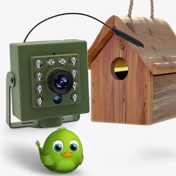 Wireless Outdoor Birdhouse Camera