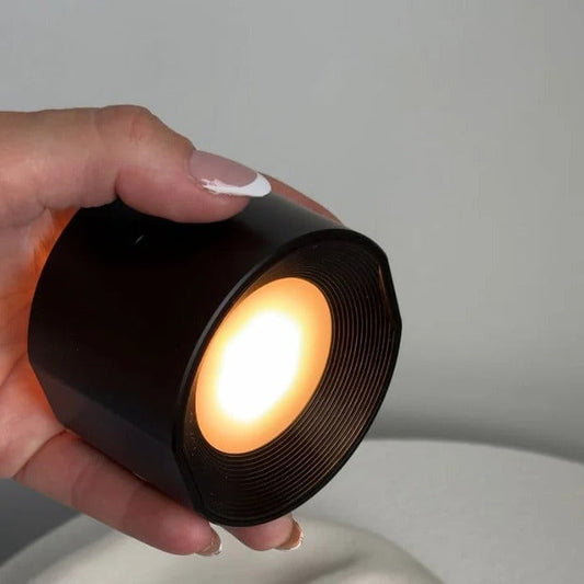 Battery Powered LED Indoor Light - Halri