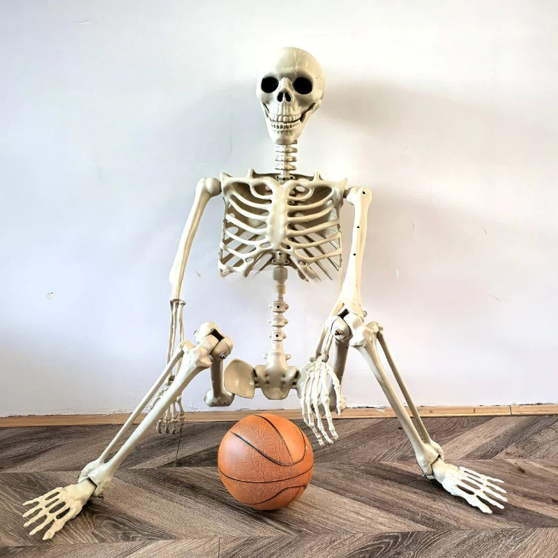 Giant Halloween Skeleton Prop - Halri