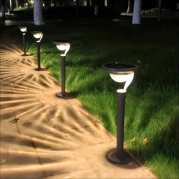 Bright Solar Powered Motion Sensor Yard Light