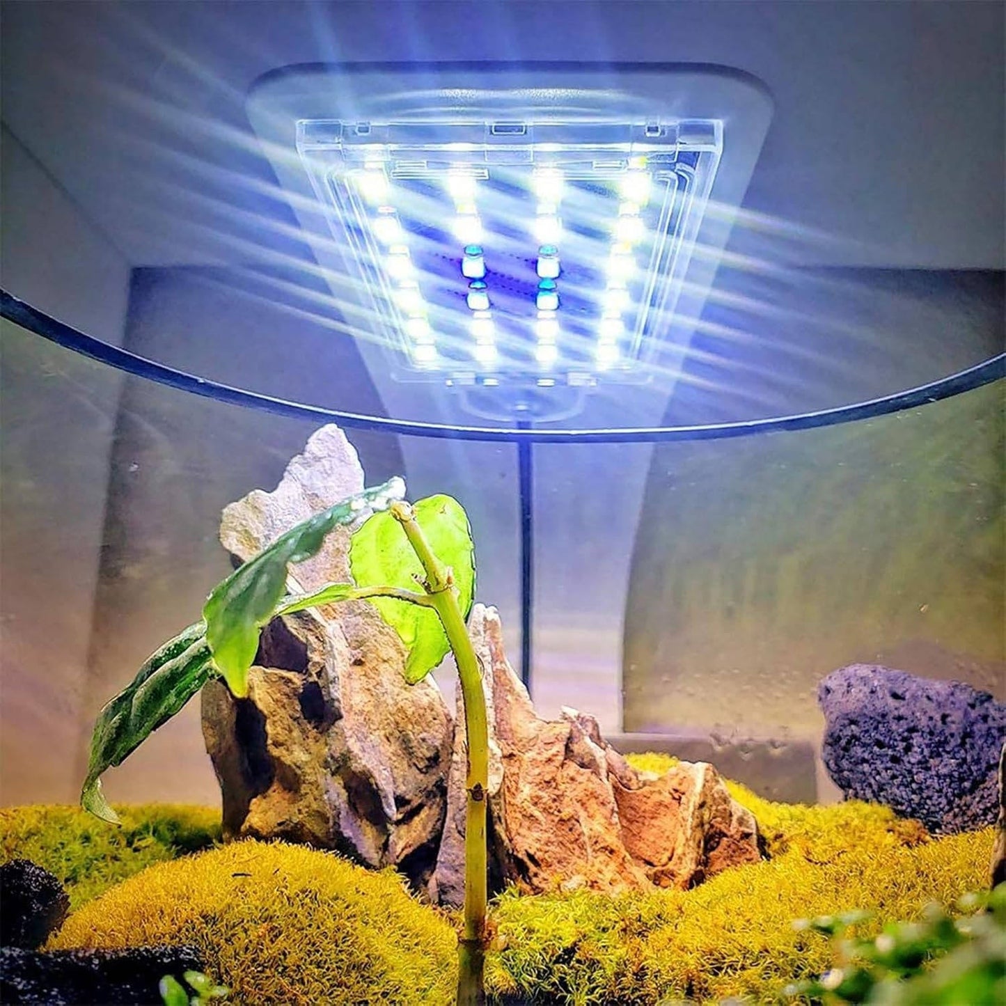 Ultra Thin LED Aquarium Light for Plants