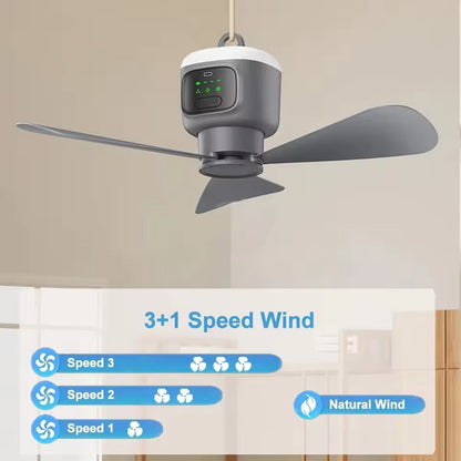 Compact Rechargeable Ceiling Fan