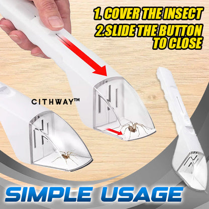 Attrape-insectes gentil et humain