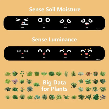 Intelligent Self Watering Ivy Planter