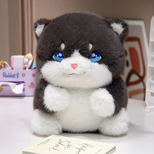 Adorable Fat Grey Kitten Soft Plush Toys - Halri