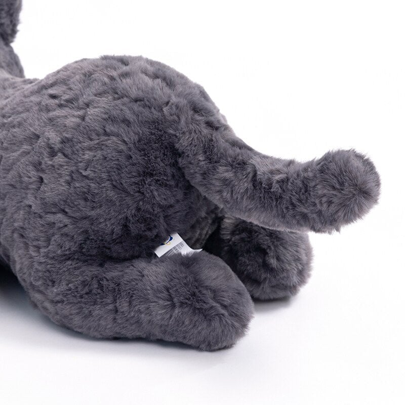 Adorable Black Kitten Soft Plush Toy - Halri