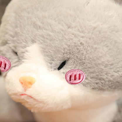 Cute Grey Shark Cat Plush Toy - Halri