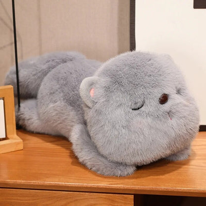 Adorable chaton en peluche endormi
