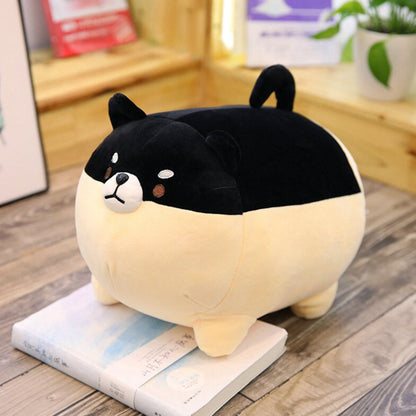 Peluche Shiba amusante