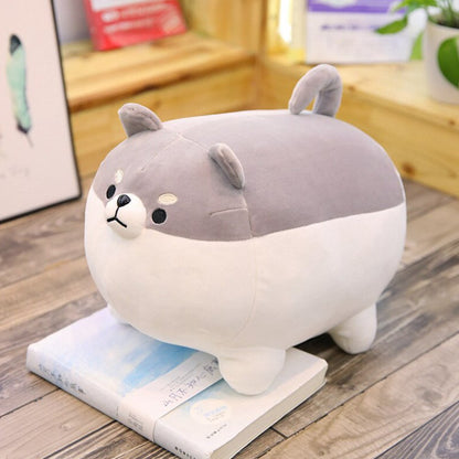 Peluche Shiba amusante