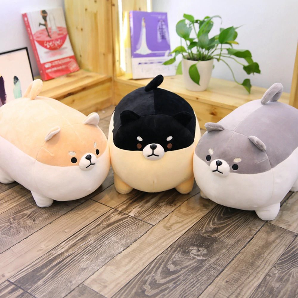 Peluche Shiba amusante