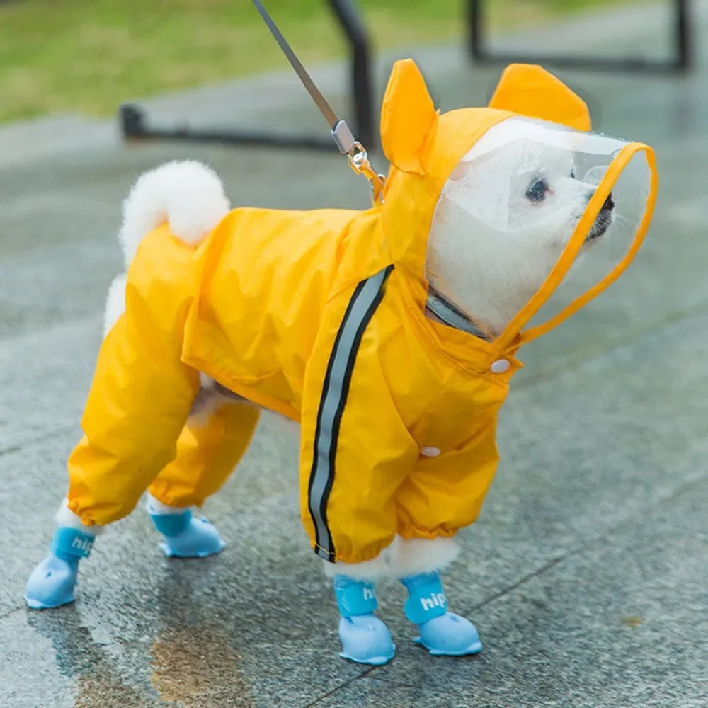 Imperméable mignon pour chien ours avec bandes réfléchissantes