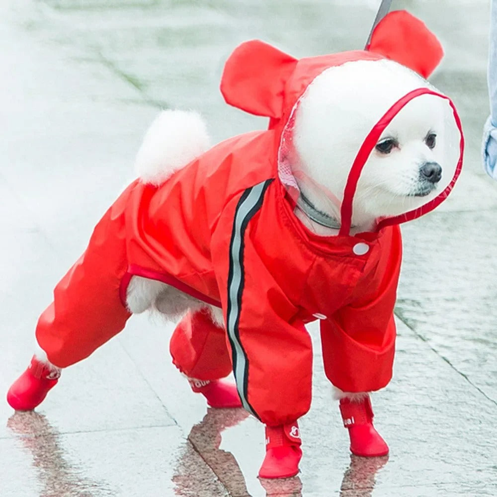 Imperméable mignon pour chien ours avec bandes réfléchissantes