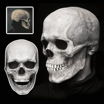 Realistic Skull Mask with Moving Jaw Halloween Costume