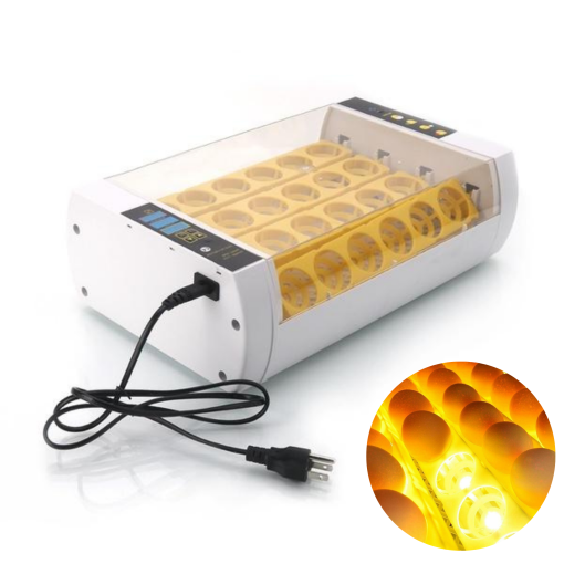 Automatic Digital Chicken Egg Incubator for 24 Eggs - Halri