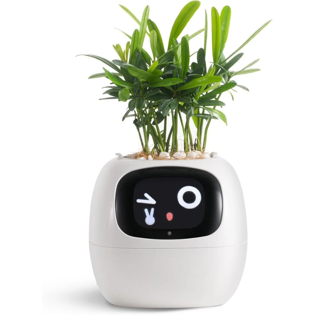 Intelligent Self Watering Ivy Planter - Halri